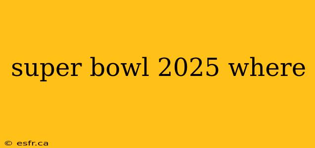 super bowl 2025 where