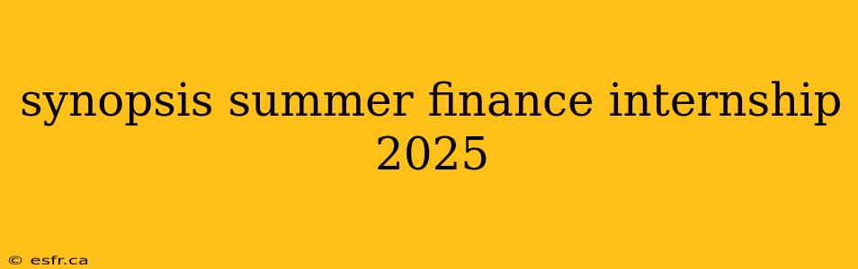 synopsis summer finance internship 2025