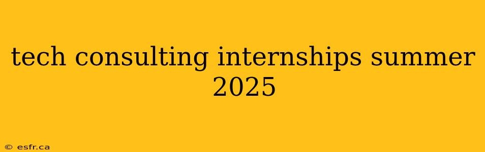 tech consulting internships summer 2025