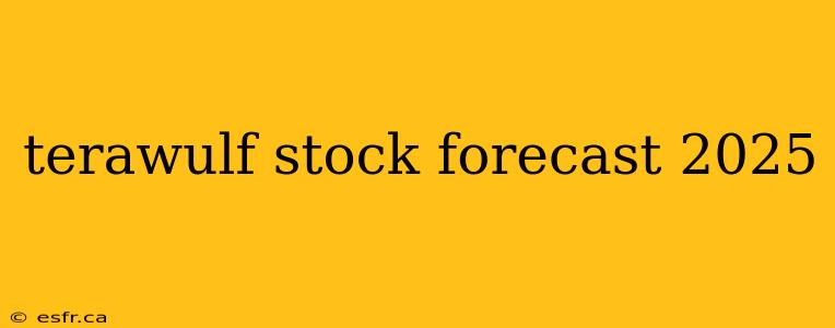 terawulf stock forecast 2025