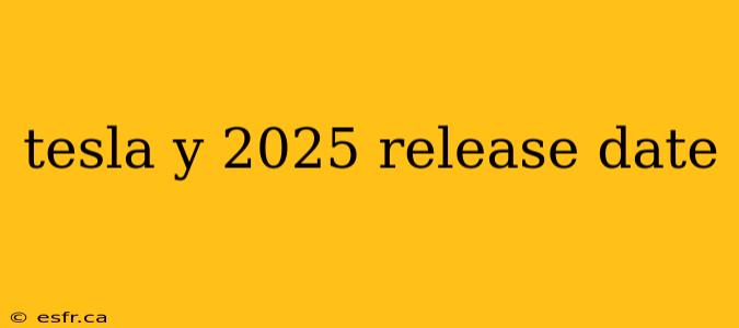 tesla y 2025 release date