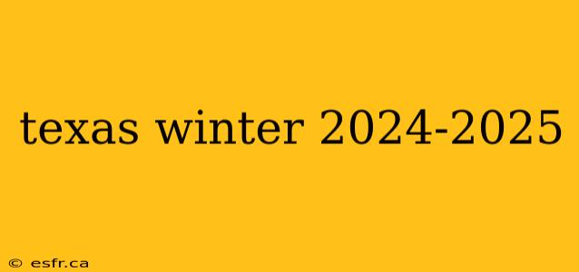 texas winter 2024-2025