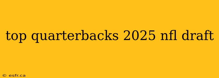 top quarterbacks 2025 nfl draft