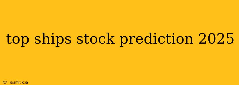 top ships stock prediction 2025