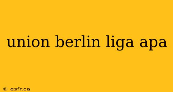 union berlin liga apa