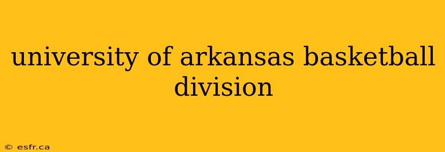 university of arkansas basketball division