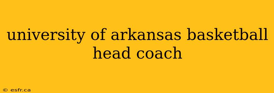 university of arkansas basketball head coach