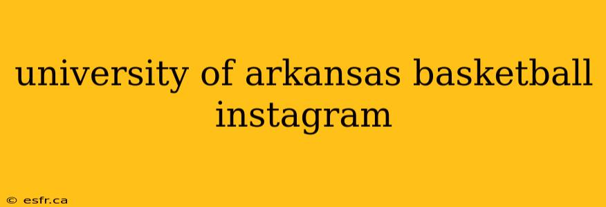 university of arkansas basketball instagram