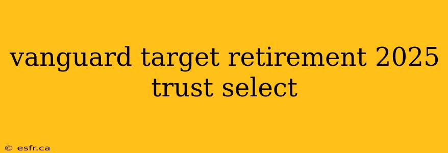 vanguard target retirement 2025 trust select