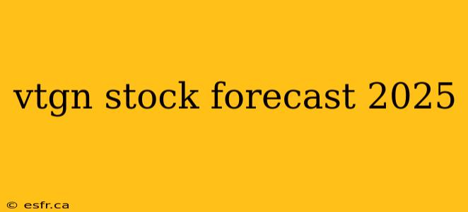 vtgn stock forecast 2025