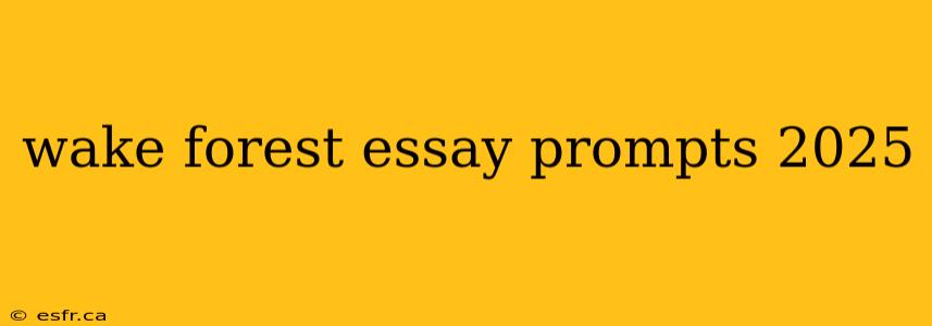 wake forest essay prompts 2025