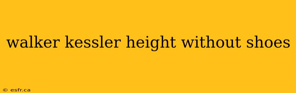 walker kessler height without shoes