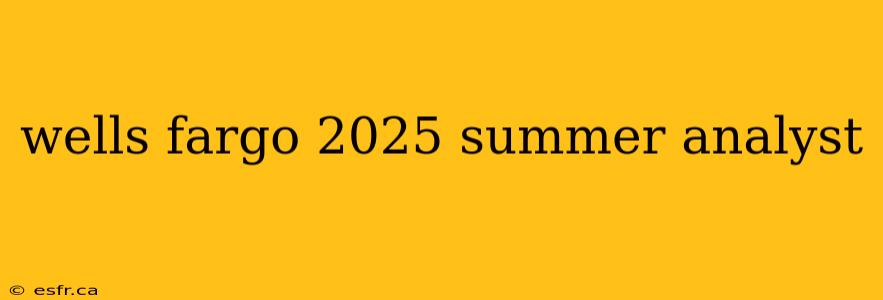 wells fargo 2025 summer analyst