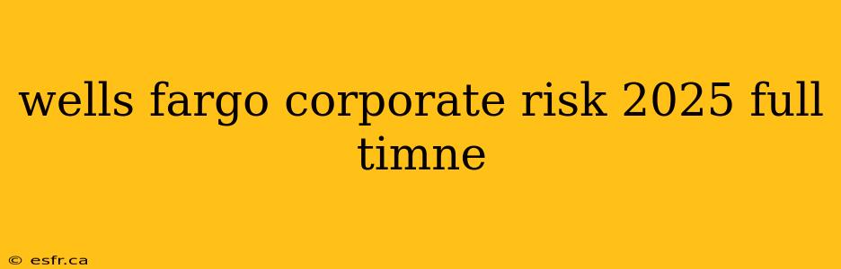 wells fargo corporate risk 2025 full timne