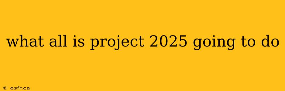 what all is project 2025 going to do