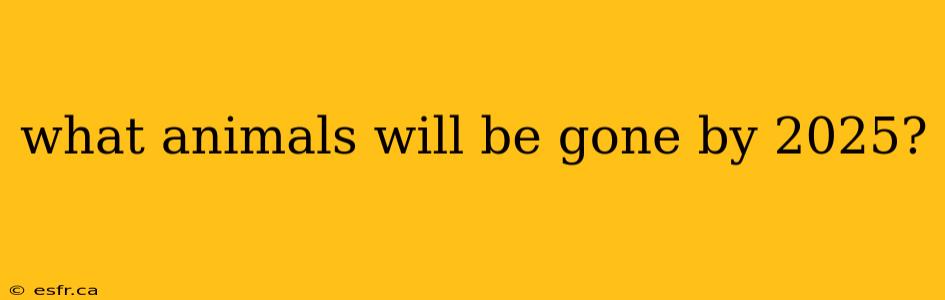 what animals will be gone by 2025?