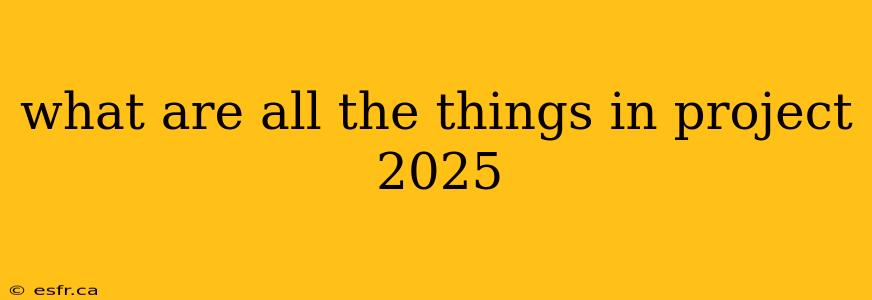 what are all the things in project 2025