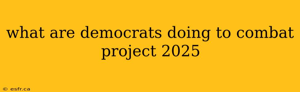 what are democrats doing to combat project 2025