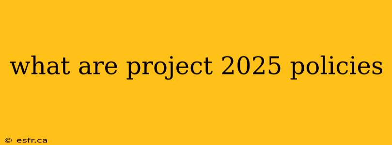 what are project 2025 policies