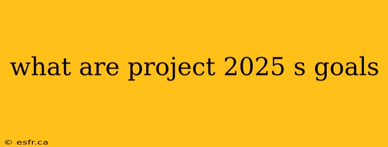 what are project 2025 s goals