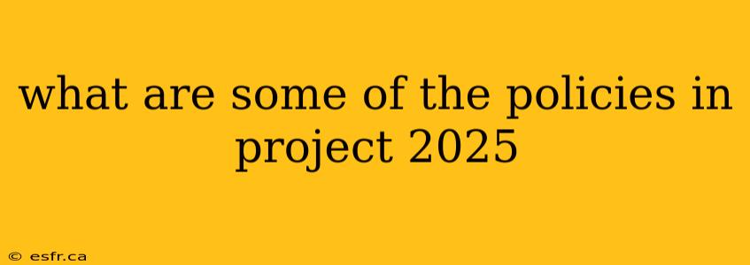 what are some of the policies in project 2025