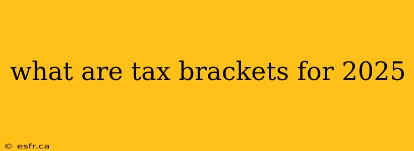 what are tax brackets for 2025