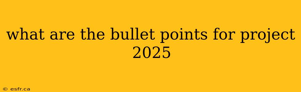 what are the bullet points for project 2025