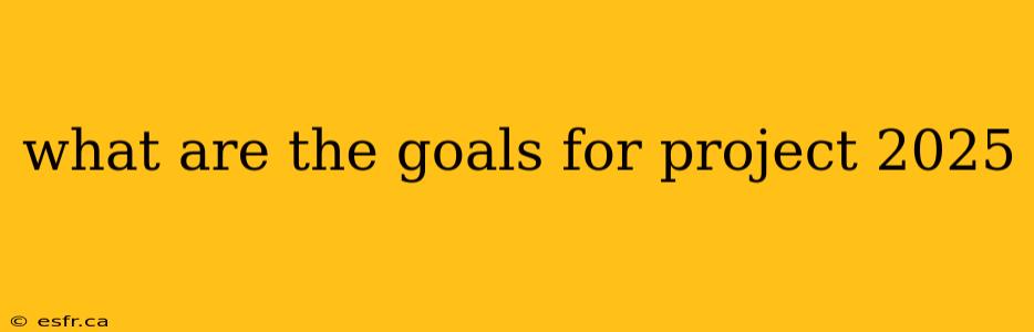 what are the goals for project 2025