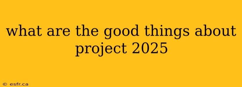 what are the good things about project 2025