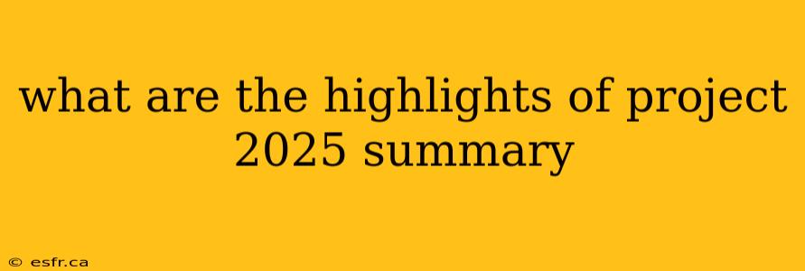 what are the highlights of project 2025 summary