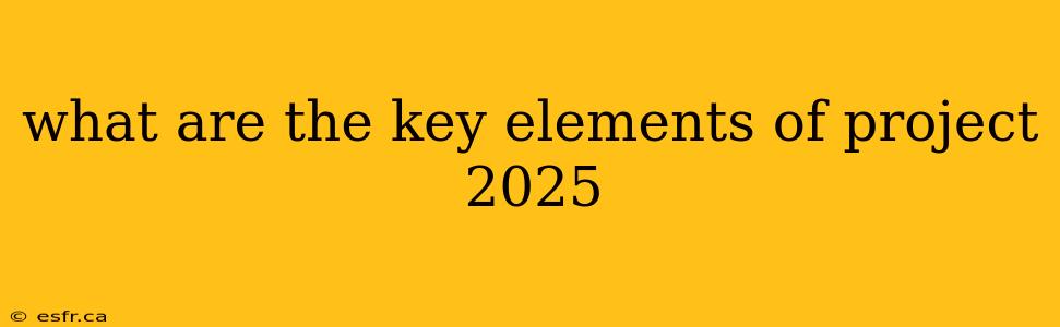 what are the key elements of project 2025