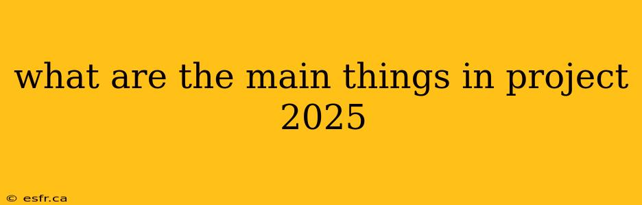 what are the main things in project 2025