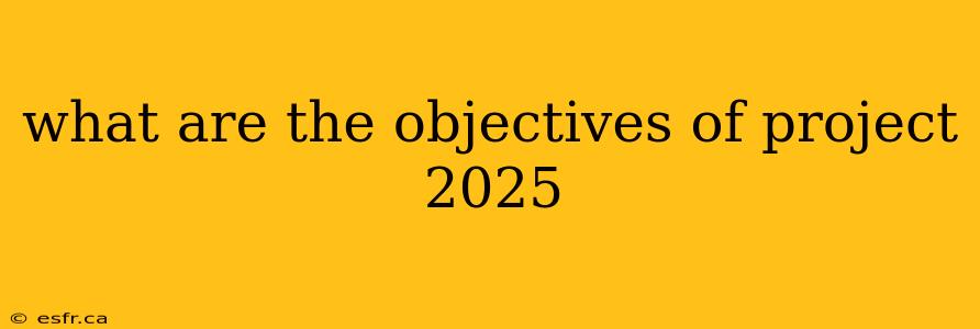 what are the objectives of project 2025