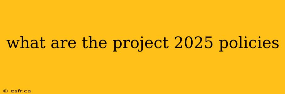 what are the project 2025 policies