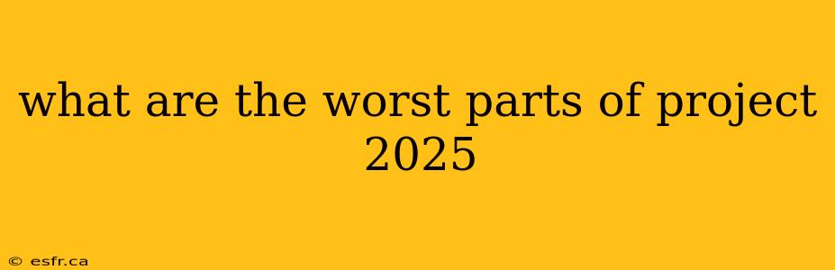 what are the worst parts of project 2025