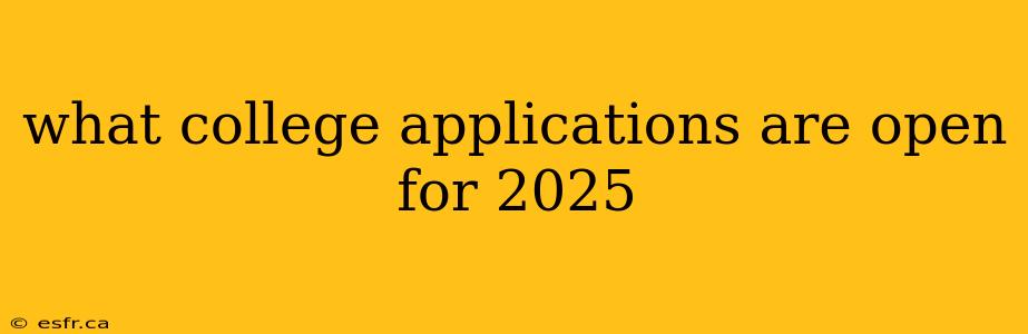 what college applications are open for 2025