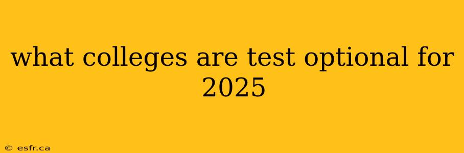 what colleges are test optional for 2025