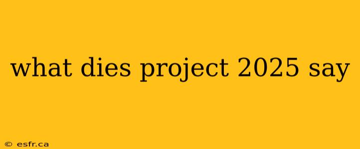 what dies project 2025 say