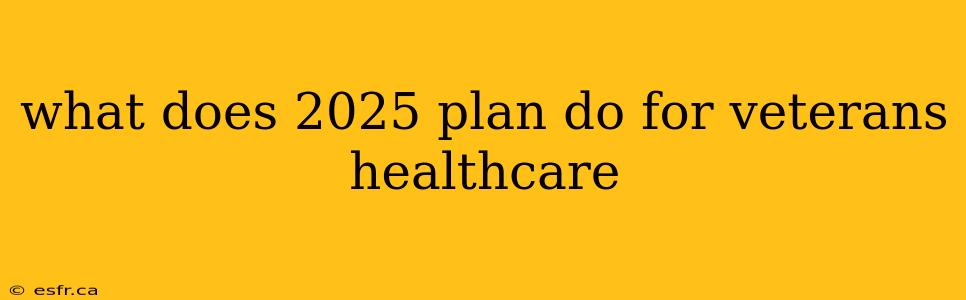 what does 2025 plan do for veterans healthcare