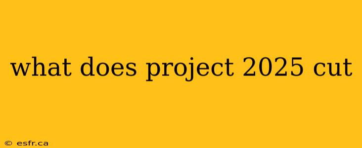 what does project 2025 cut