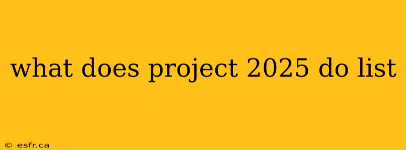 what does project 2025 do list