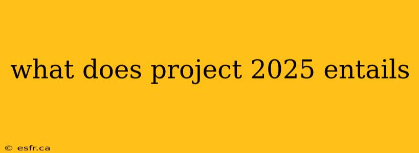 what does project 2025 entails