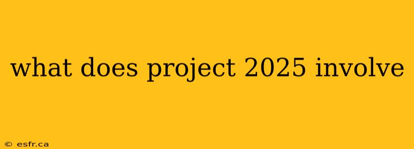 what does project 2025 involve