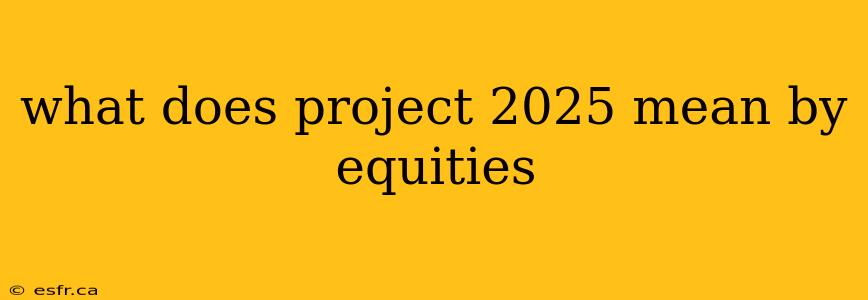 what does project 2025 mean by equities