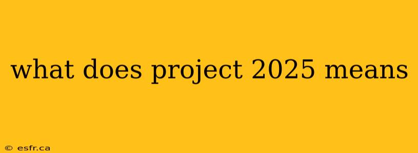 what does project 2025 means