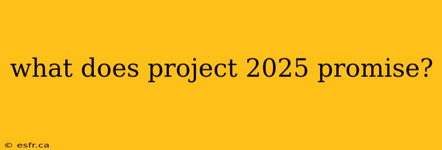 what does project 2025 promise?