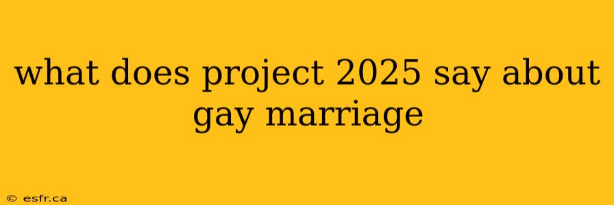 what does project 2025 say about gay marriage