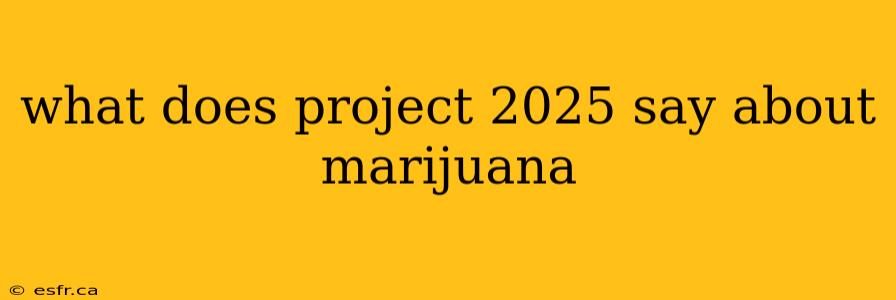 what does project 2025 say about marijuana