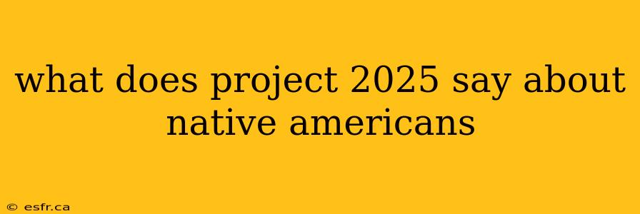 what does project 2025 say about native americans