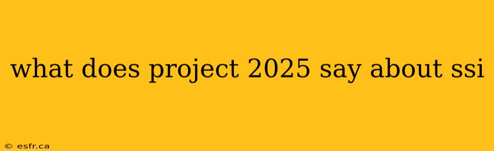 what does project 2025 say about ssi